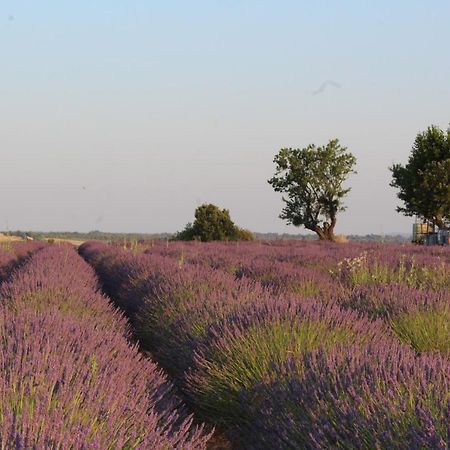 Le Mas Du Colombier Cadenet Exterior foto