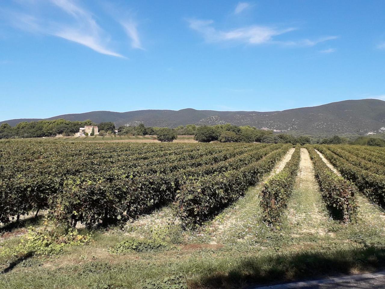 Le Mas Du Colombier Cadenet Exterior foto